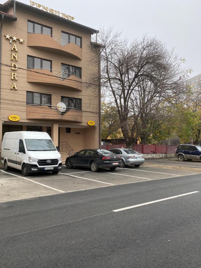 Pensiunea Andra Тимишоара Екстериор снимка