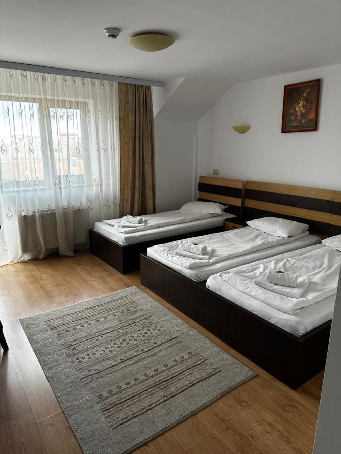 Pensiunea Andra Тимишоара Екстериор снимка